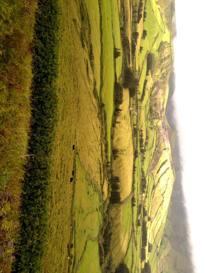 Isla de Flores - Azores