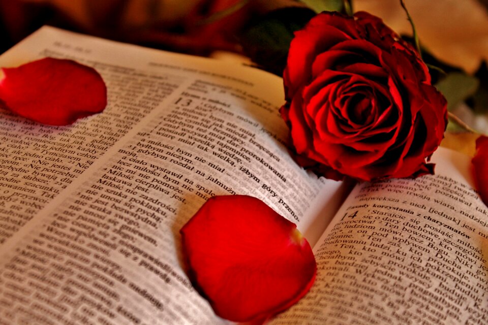 God paper rose petals