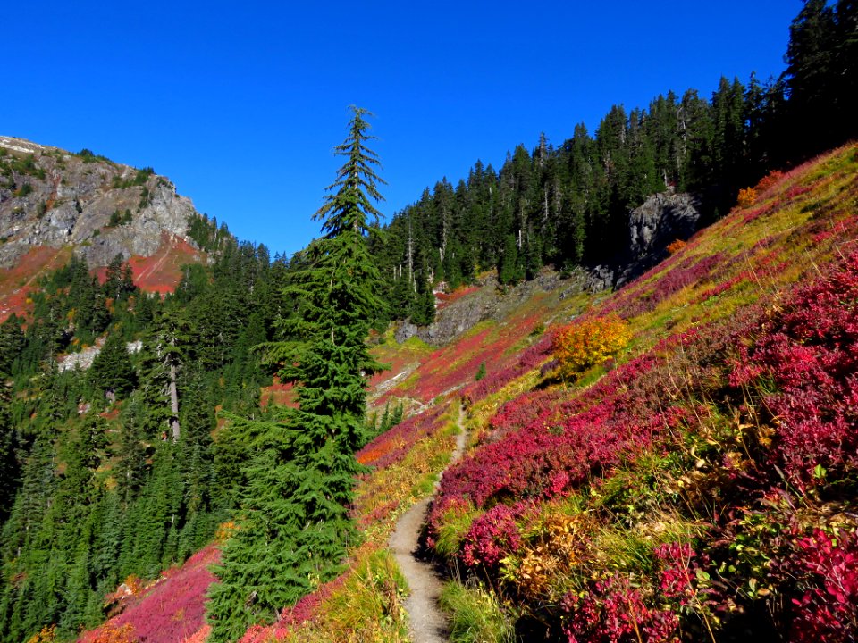 Autumn at Yellow Aster Butte in WA