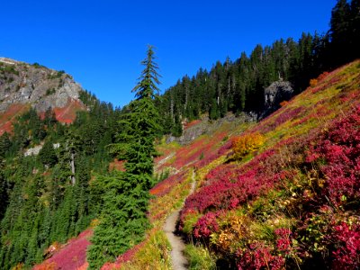 Autumn at Yellow Aster Butte in WA