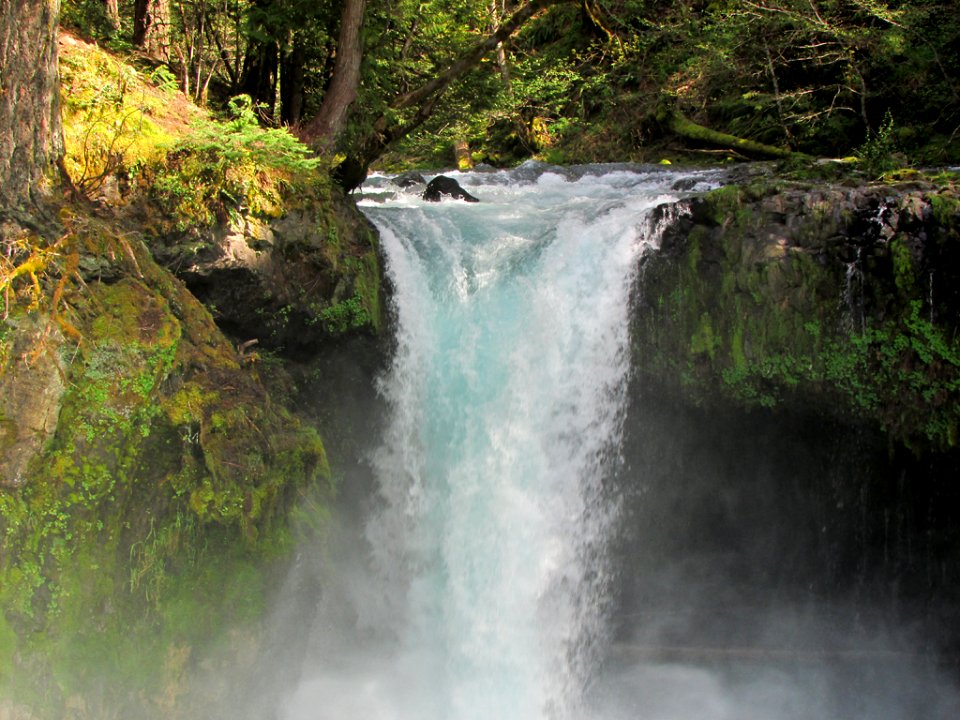 Spirit Falls Trail on Little White Salmon River in WA