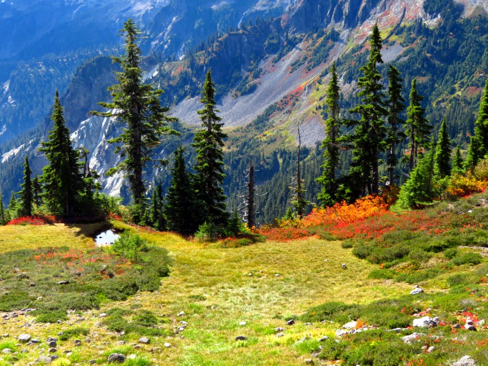 Autumn at Artist Point in WA