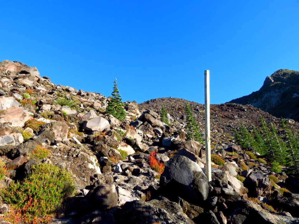 Mt. St. Helens Summit Trail in WA