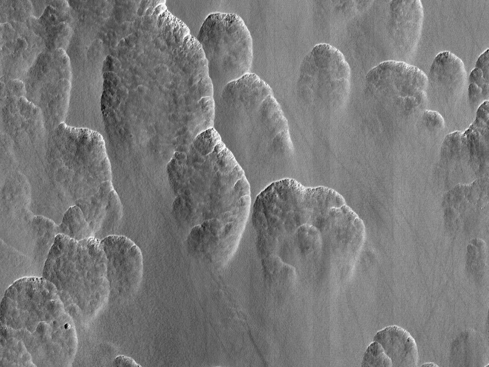 A Recipe for Martian Scallops