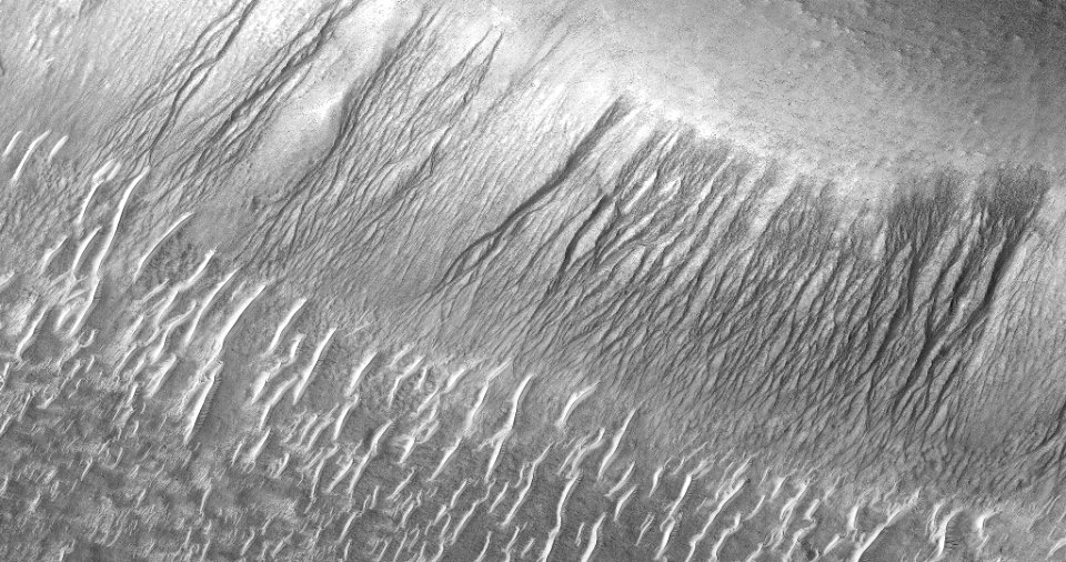 Still-Life with Gullies