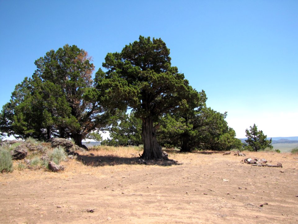 Surprise Valley Barrel Springs Back-Country Byway