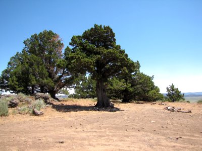 Surprise Valley Barrel Springs Back-Country Byway