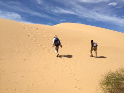 Algodones Dunes, El Centro