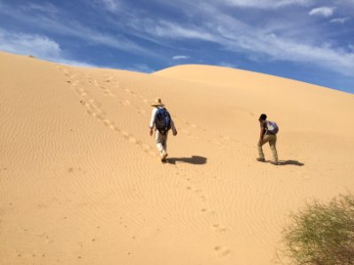 Algodones Dunes, El Centro photo