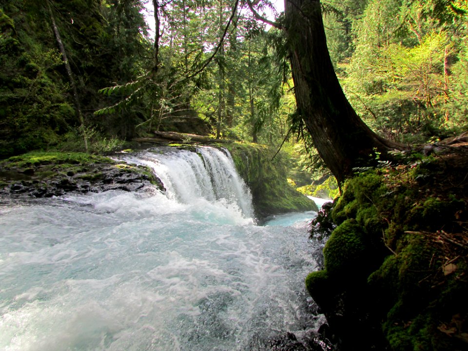 Spirit Falls Trail on Little White Salmon River in WA