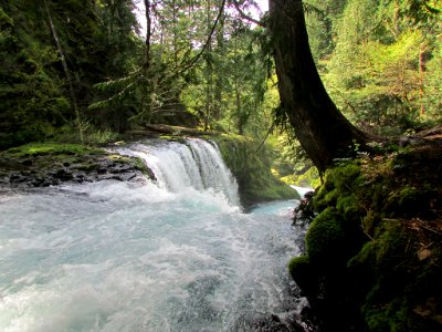 Spirit Falls Trail on Little White Salmon River in WA