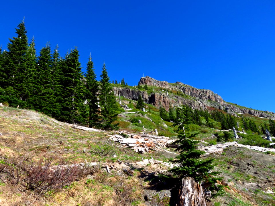 Mt. Margaret Backcountry in WA
