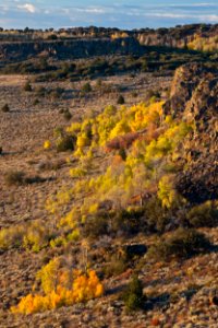Wall Canyon Wilderness Study Area
