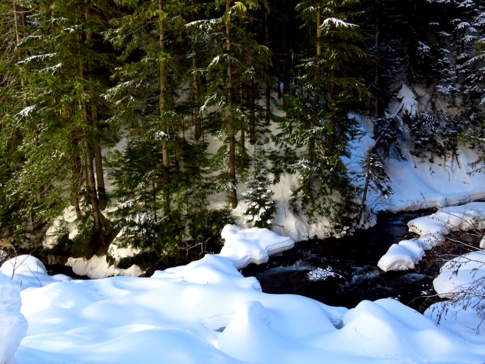 Tamanawas Falls Trail at Mt. Hood in Oregon