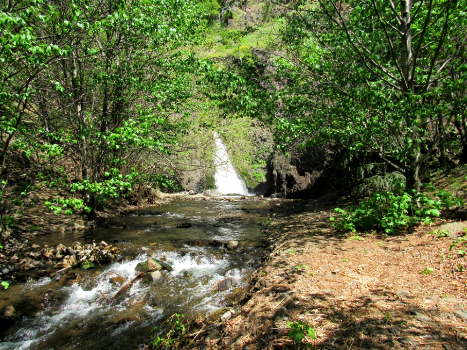 Dog Creek Falls in Washington
