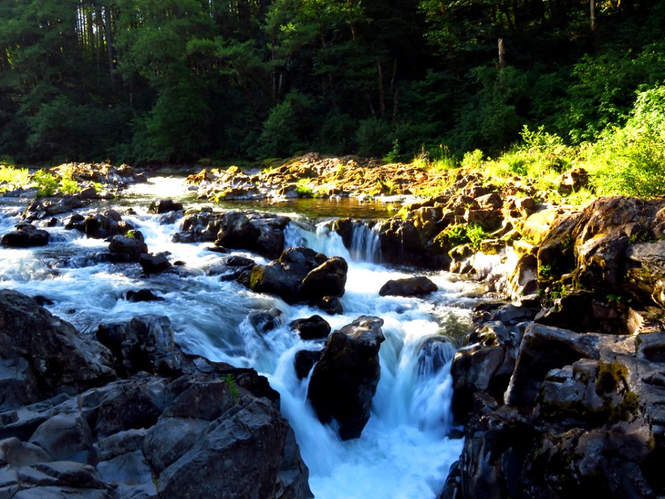 Moulton Falls Park at Lewis River in WA