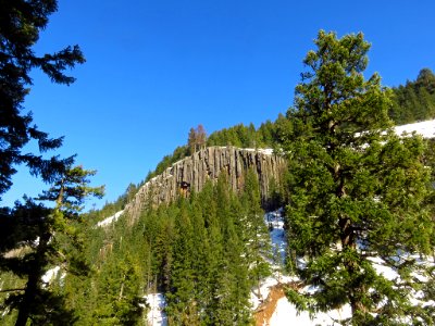 Tamanawas Falls Trail at Mt. Hood in Oregon photo