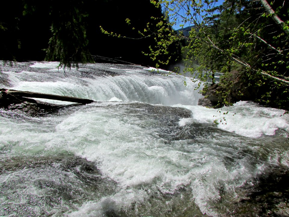 Lower Lewis River Falls Trail in WA