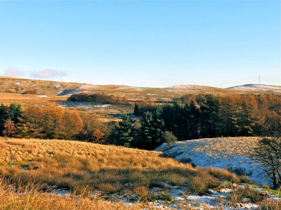 Near Watergrove Reservoir