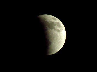 Total Lunar Eclipse Blood Moon in WA 4/14/14 photo