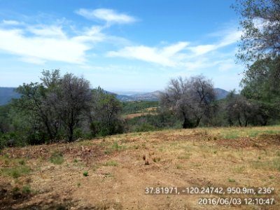 Greeley Hill