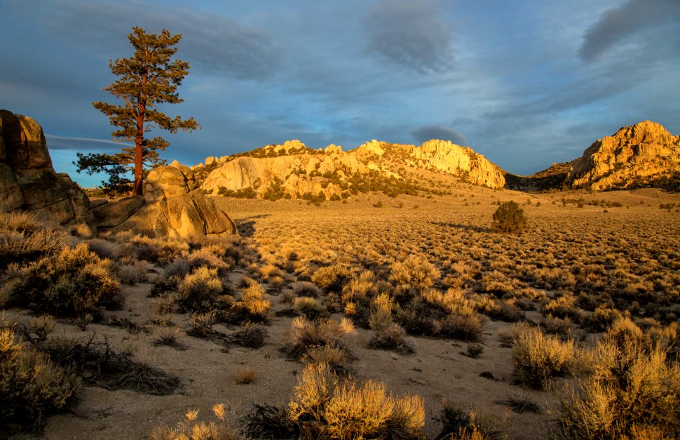Granite Mountain Wilderness