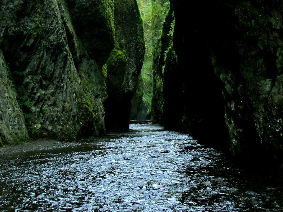 Oneonta Gorge in OR