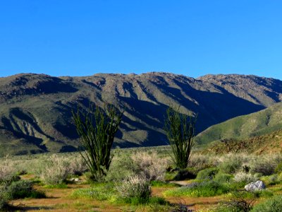 Anza-Borrego Desert SP in California