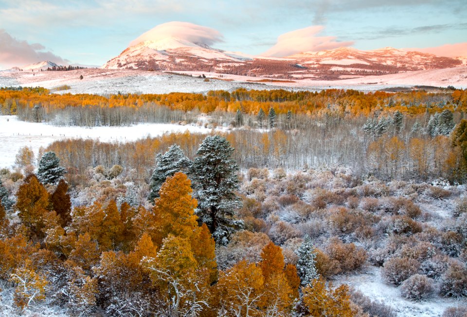 Conway Summit Area of Critical Environmental Concern photo