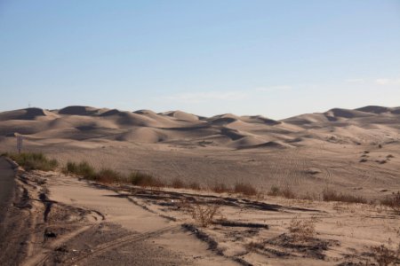 Imperial Sand Dunes Recreation Area photo