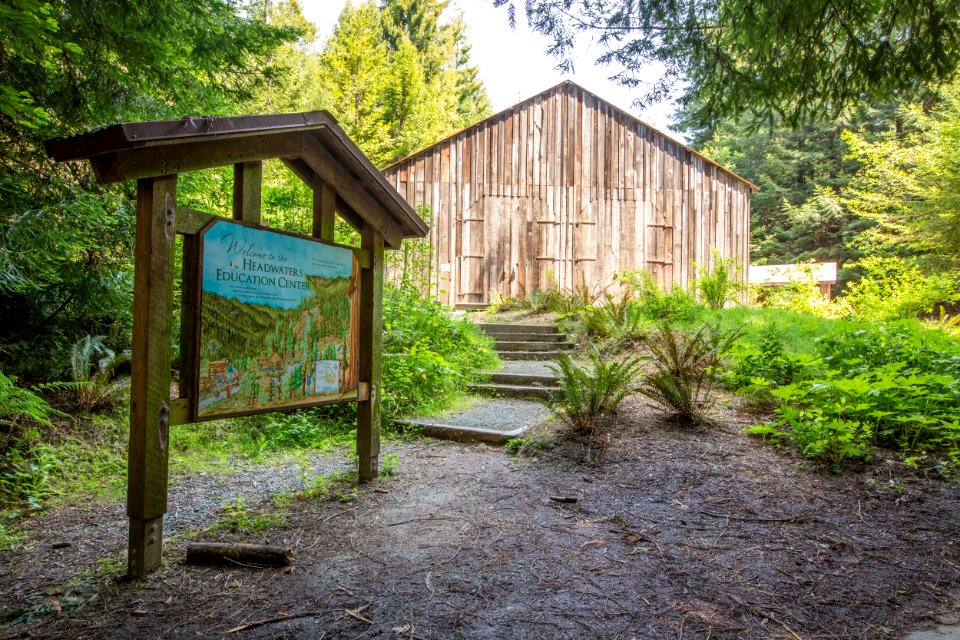 Headwaters Forest Reserve