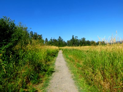 Steigerwald Lake NWR in WA