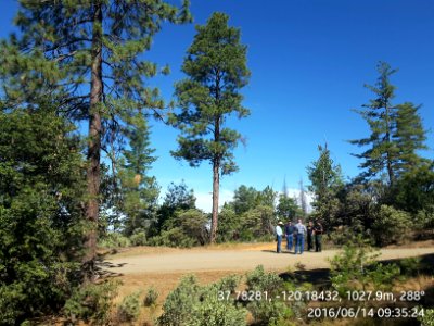 Greeley Hill