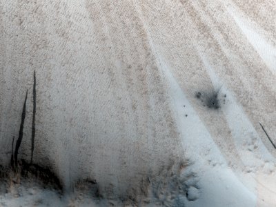 ESP 048686 1785
