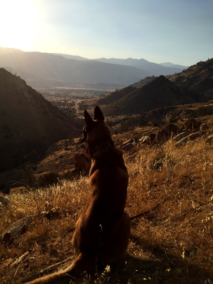 Bureau of Land Management Law Enforcement