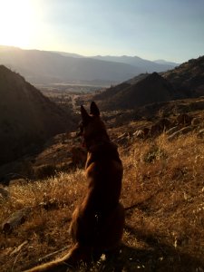 Bureau of Land Management Law Enforcement