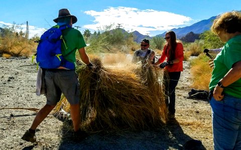#NPLD 2016: La Quinta Cove Volunteer Day