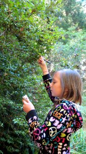 Exploring Wailaki Campground