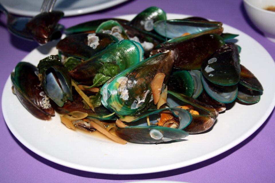 Mussels eat thai asian clam dish