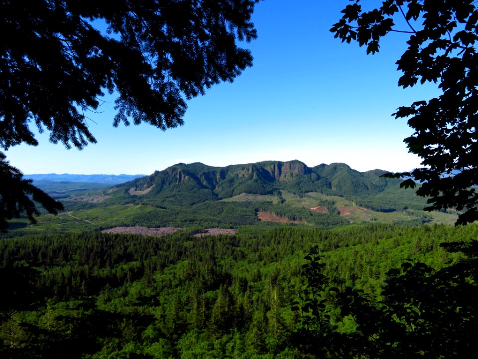 Saddle Mountain Trail in OR