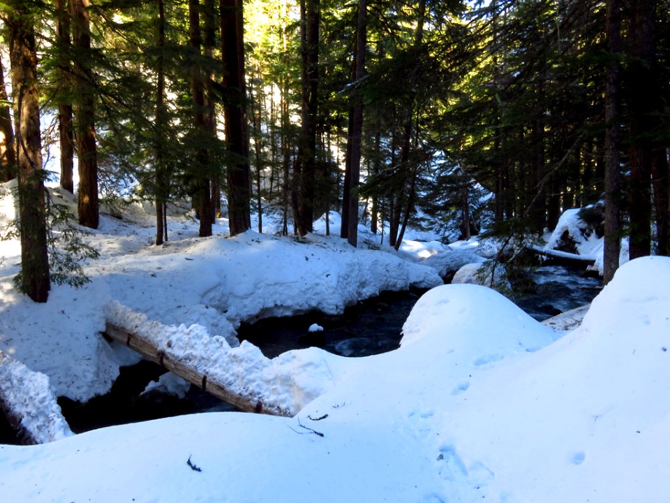 Tamanawas Falls Trail at Mt. Hood in Oregon