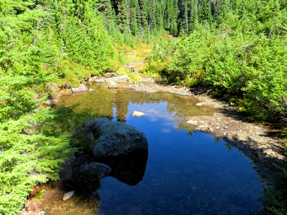 Mt. Rainier NP in Washington