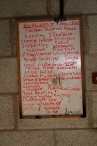 IMG 1537 - In the bird hide