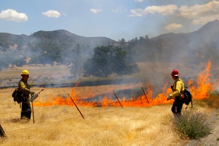 Wildland Fire