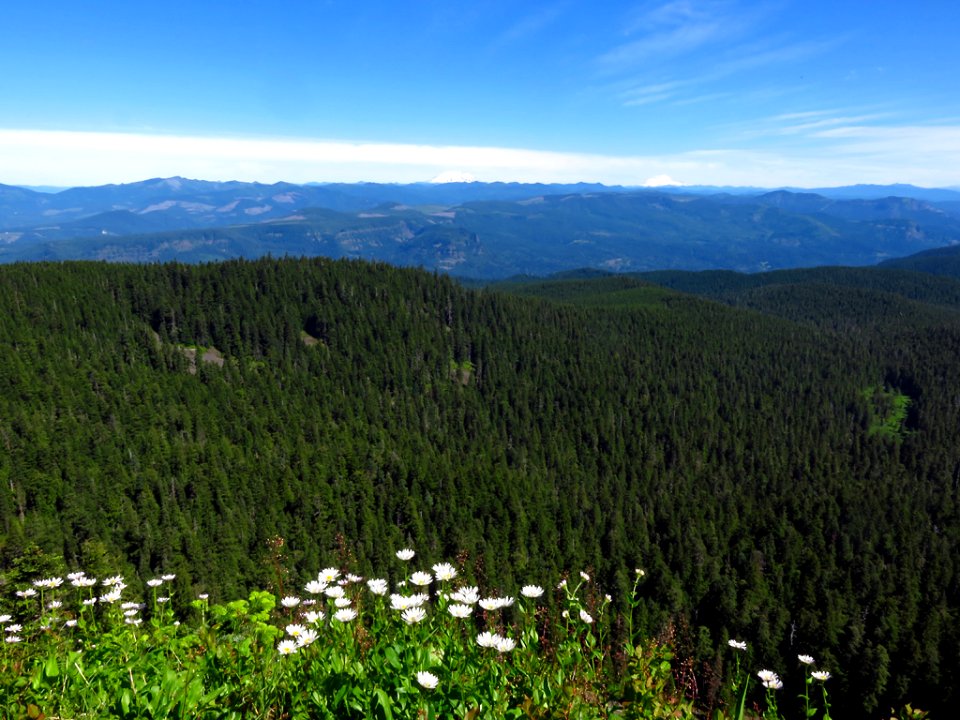 Sherrard Point on Larch Mountain in Oregon