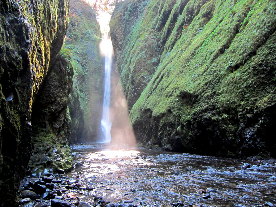 Oneonta Gorge at Columbia River Gorge in OR