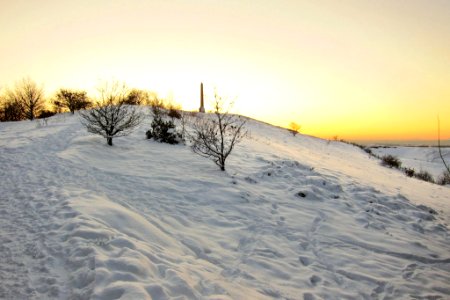IMG 0275-1