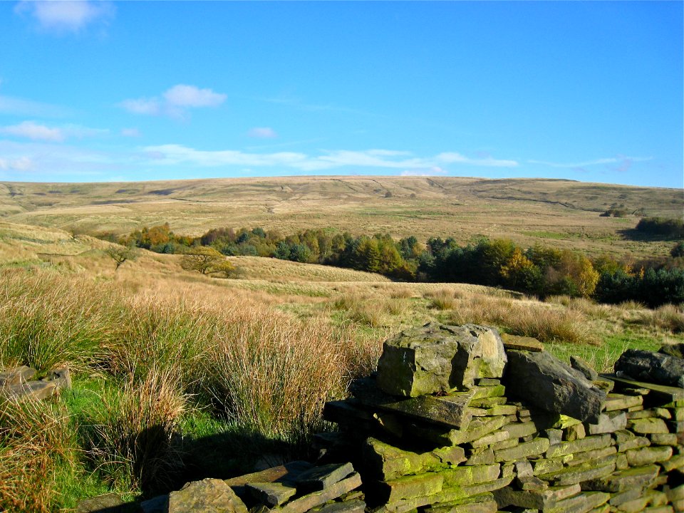 Near Watergrove Reservoir