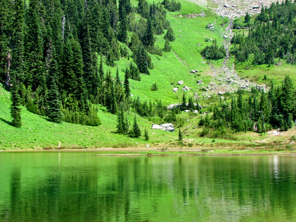 Tipsoo Lake at Mt. Rainier NP in Washington