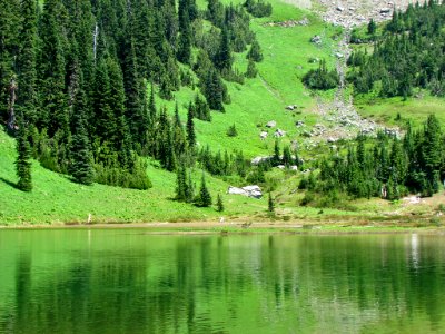 Tipsoo Lake at Mt. Rainier NP in Washington
